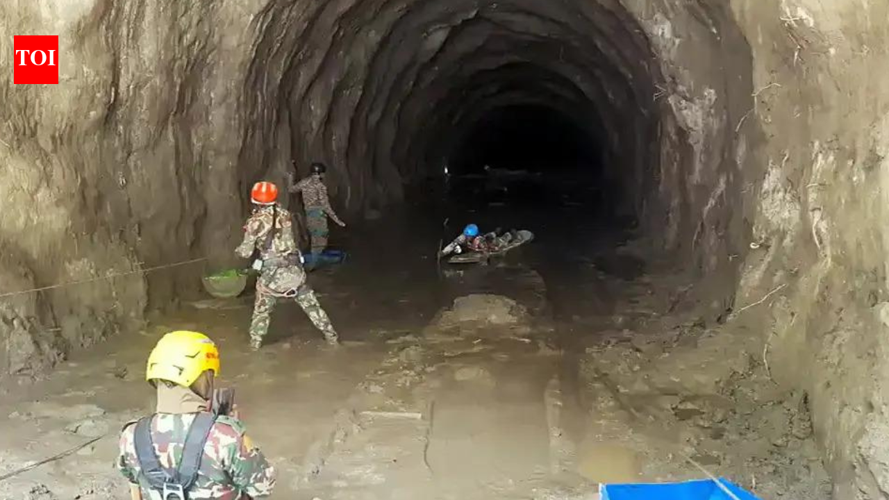 ’23 Silkyara ‘rat miners’ offer to join Nepal tunnel rescue | India News