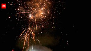 Government bodies differ, Centre to test green crackers afresh | India News