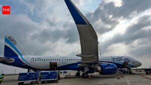 IndiGo flight from Navi Mumbai hits pole at Srinagar airport during landing | India News