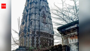 India Concerns Pakistan Temple Destruction: ‘Reprehensible act of vandalism’: India condemns demolition of century-old Hindu temple in Pakistan, seeks probe | India News