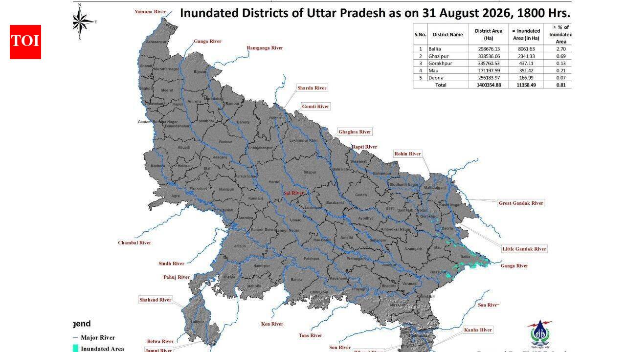 Rising rivers inundate over 11,000 hectares across 5 UP districts | India News