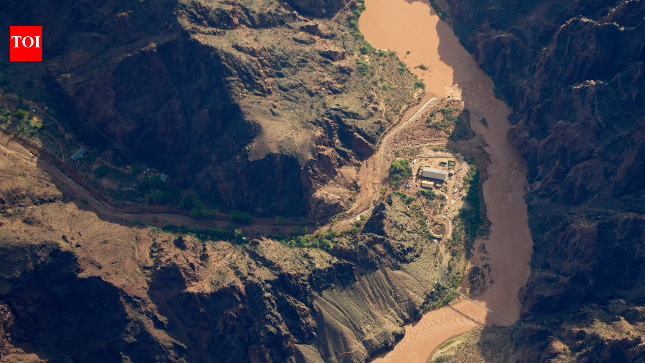 Three women were caught in a deadly Grand Canyon flash flood and clung to a rock ledge for 5 hours; after briefly believing each other had been swept away, a helicopter found them alive