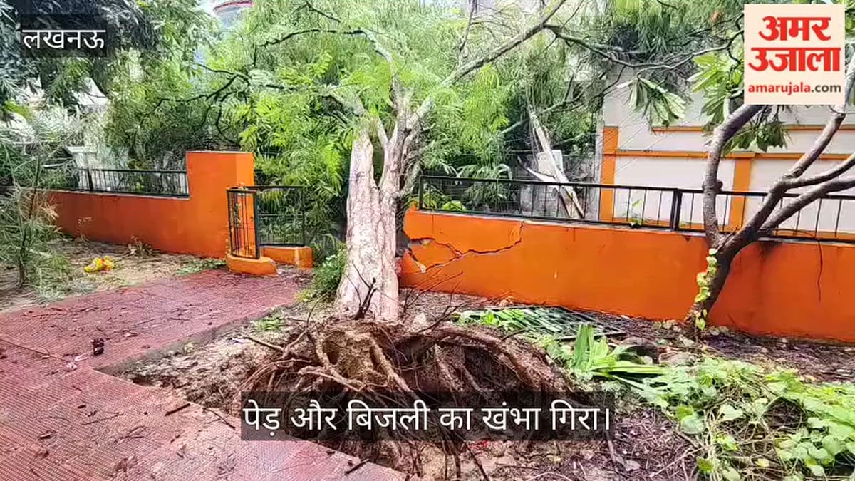 VIDEO: इंदिरा नगर सेक्टर 8 में पेड़ और बिजली का खंभा गिरा, अभी तक बिजली गायब