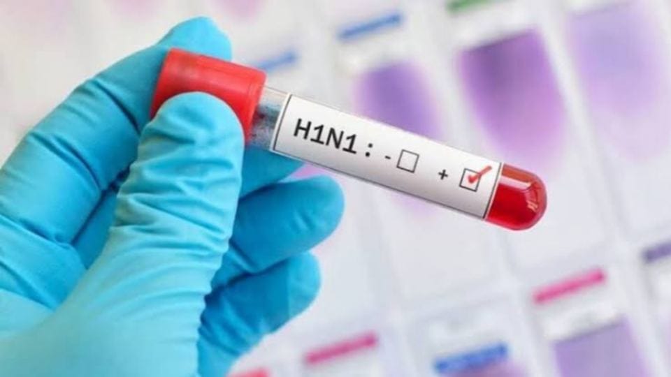 स्वाइन फ्लू:महंगी जांच कराने से बच रहे लोग, इसलिए केस भी कम; असली आंकड़ों पर उठ रहे सवाल – People Are Avoiding Expensive Swine Flu Tests Hence Low Case Count Questions Raised About Actual Figures